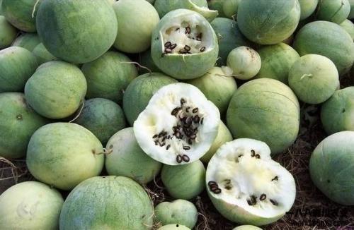 吃瓜群众的由来视频,揭秘网络热词背后的文化现象