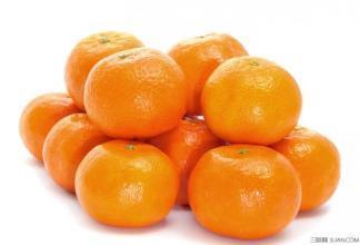 娱乐吃瓜酱橘子甜不甜,一场甜蜜的美食与娱乐碰撞之旅