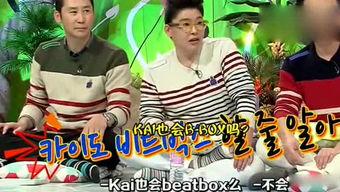 吃瓜综艺娱乐猪,娱乐猪的欢乐盛宴