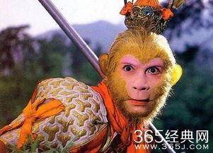 娱乐吃瓜酱孙悟空,娱乐吃瓜界的传奇英雄