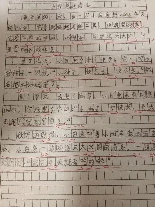 吃瓜大赛作文600字