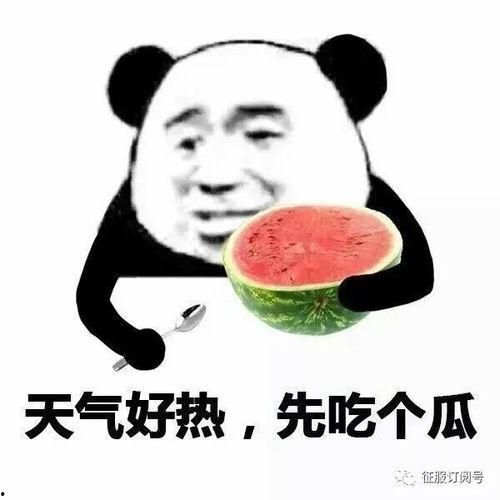 一起吃瓜吗,揭秘娱乐圈那些不为人知的幕后故事